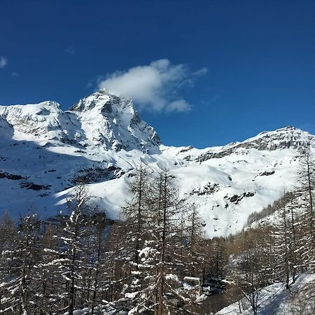 Cervinia Apartments ブレウイル・チェルヴィナイア エクステリア 写真
